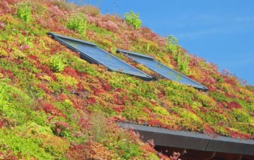 Illingworth living roof systems